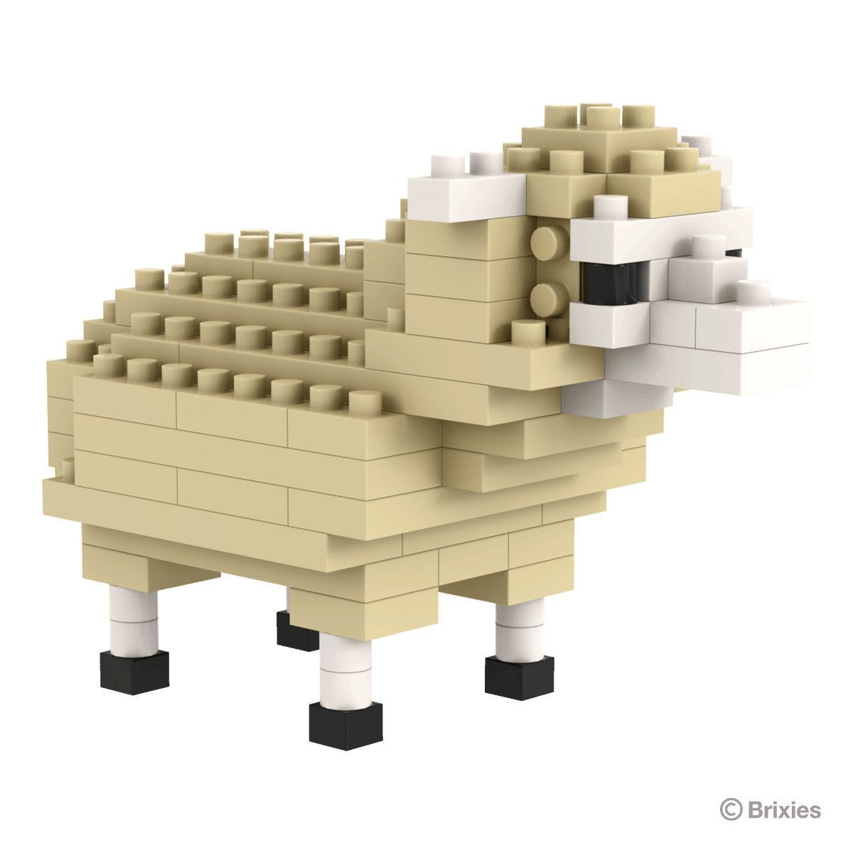BRIXIES sheep