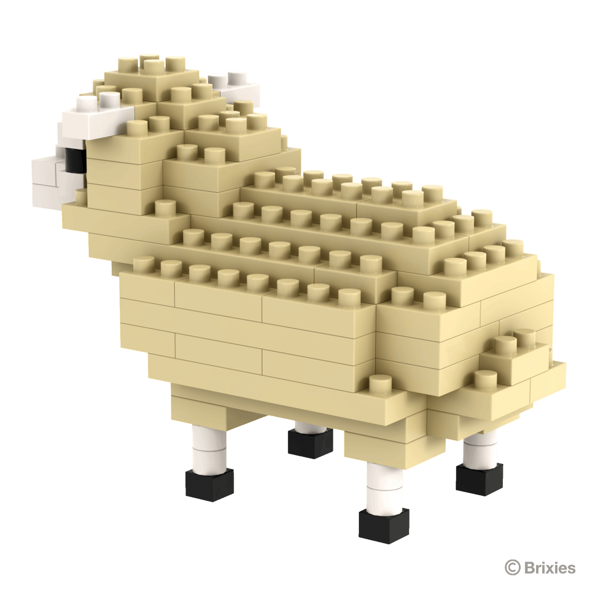 BRIXIES sheep