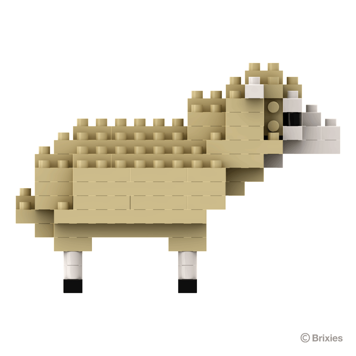 BRIXIES sheep