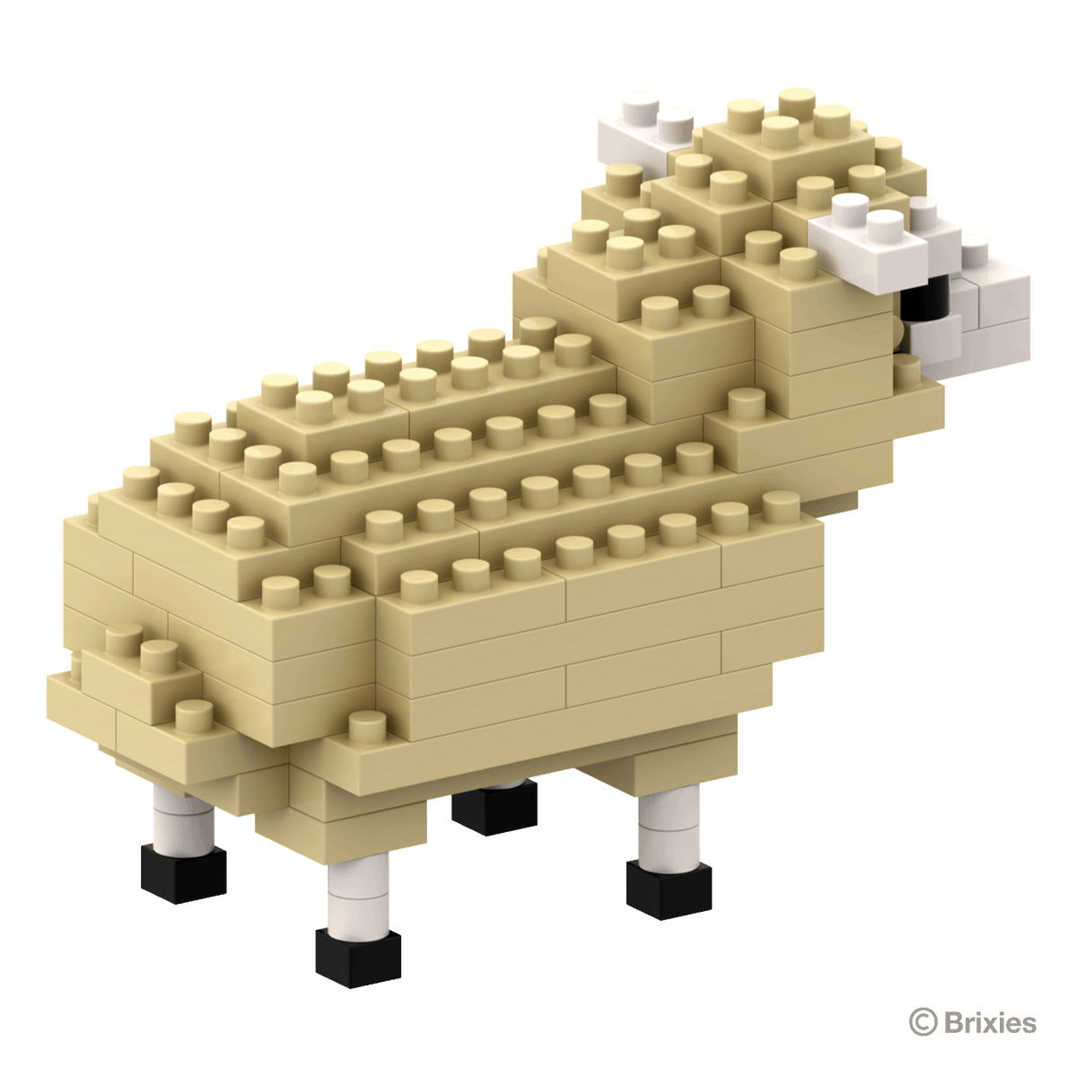 BRIXIES sheep