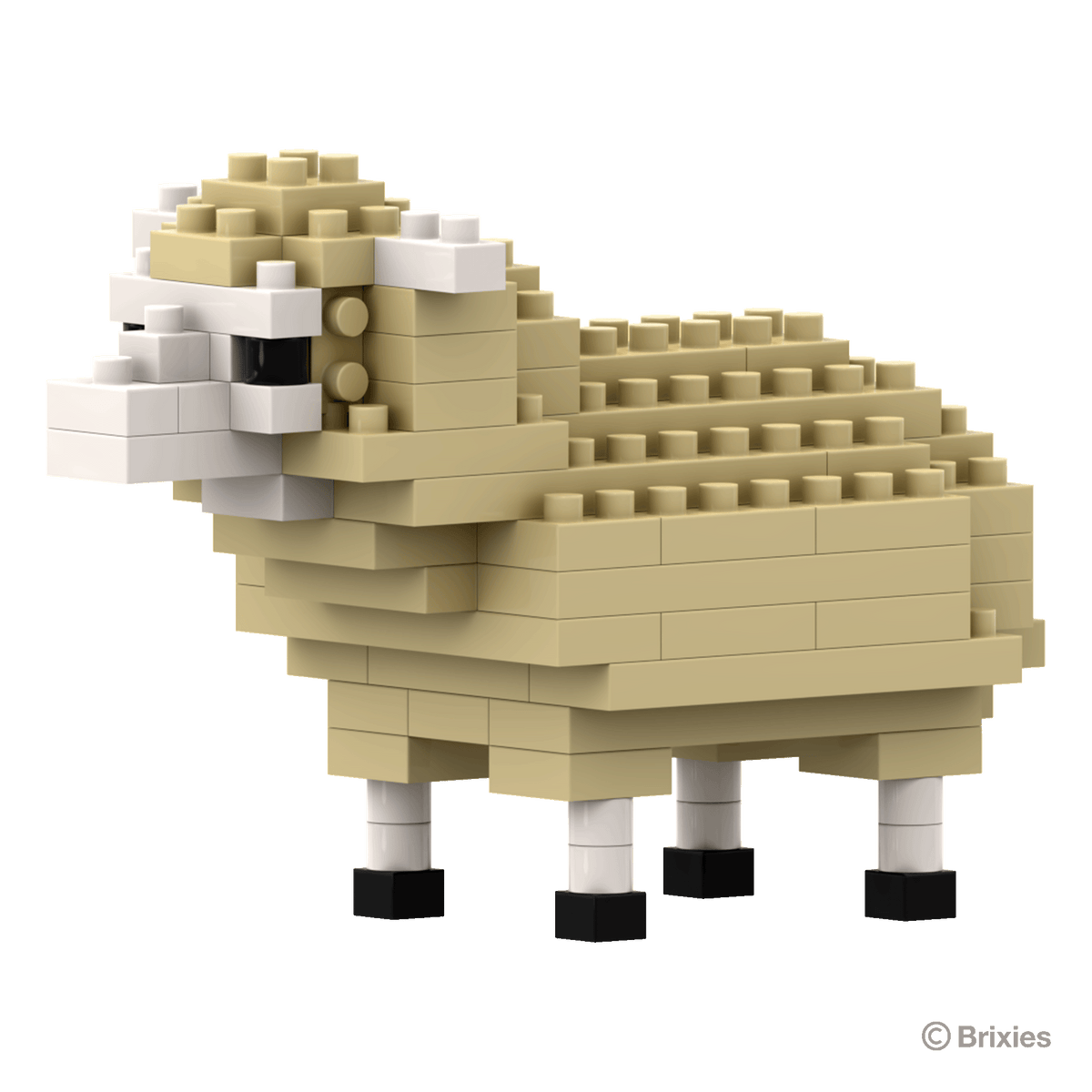 BRIXIES sheep