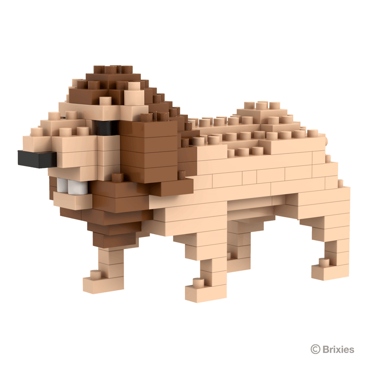 BRIXIES lion