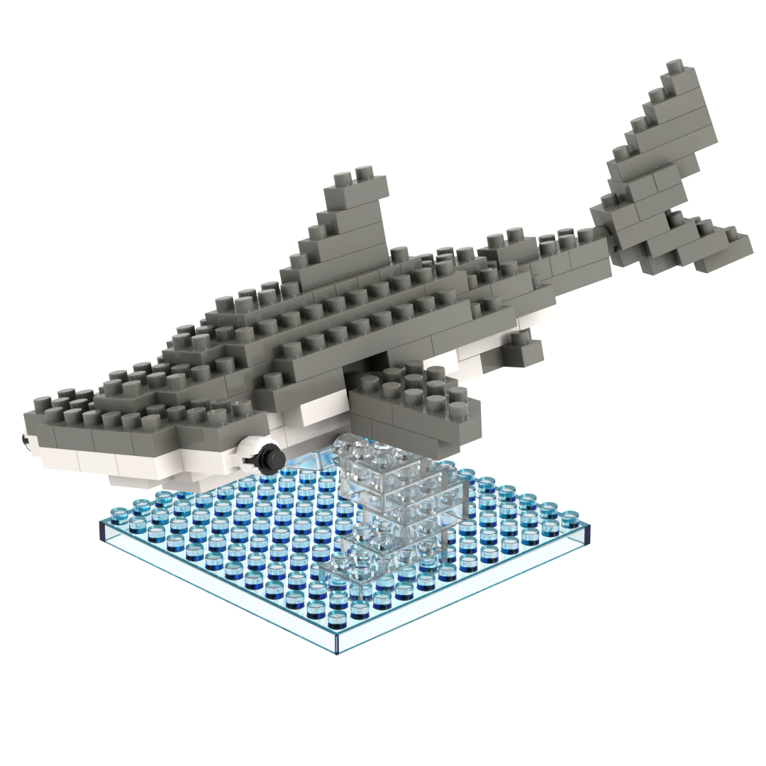 Hammerhai