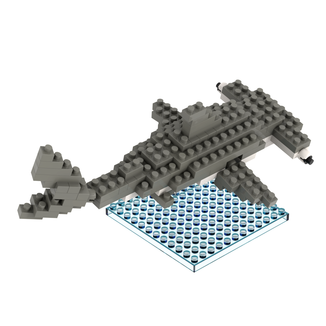 Hammerhai