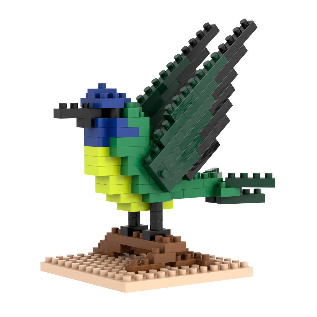 Kolibri