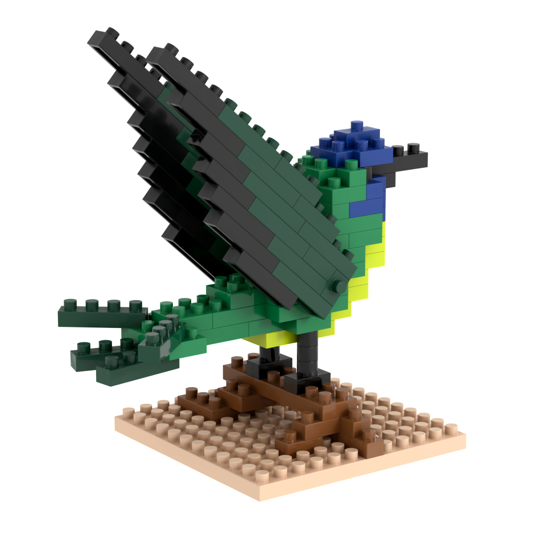 Kolibri