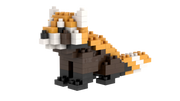 Roter Panda