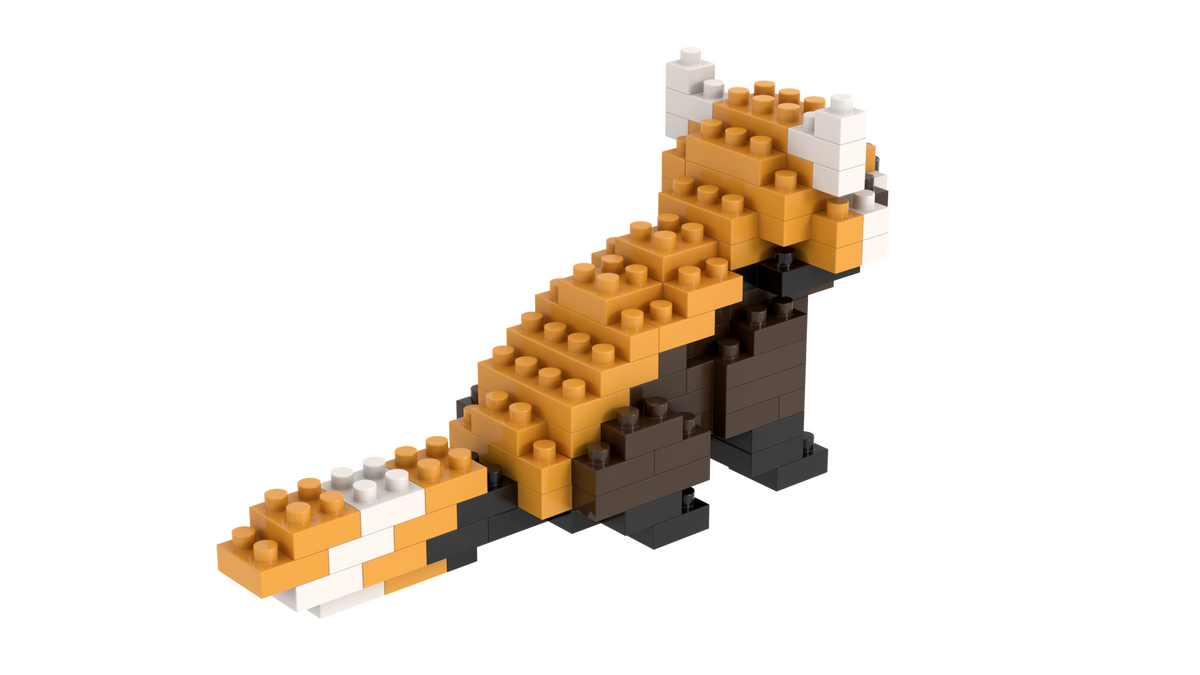 Roter Panda