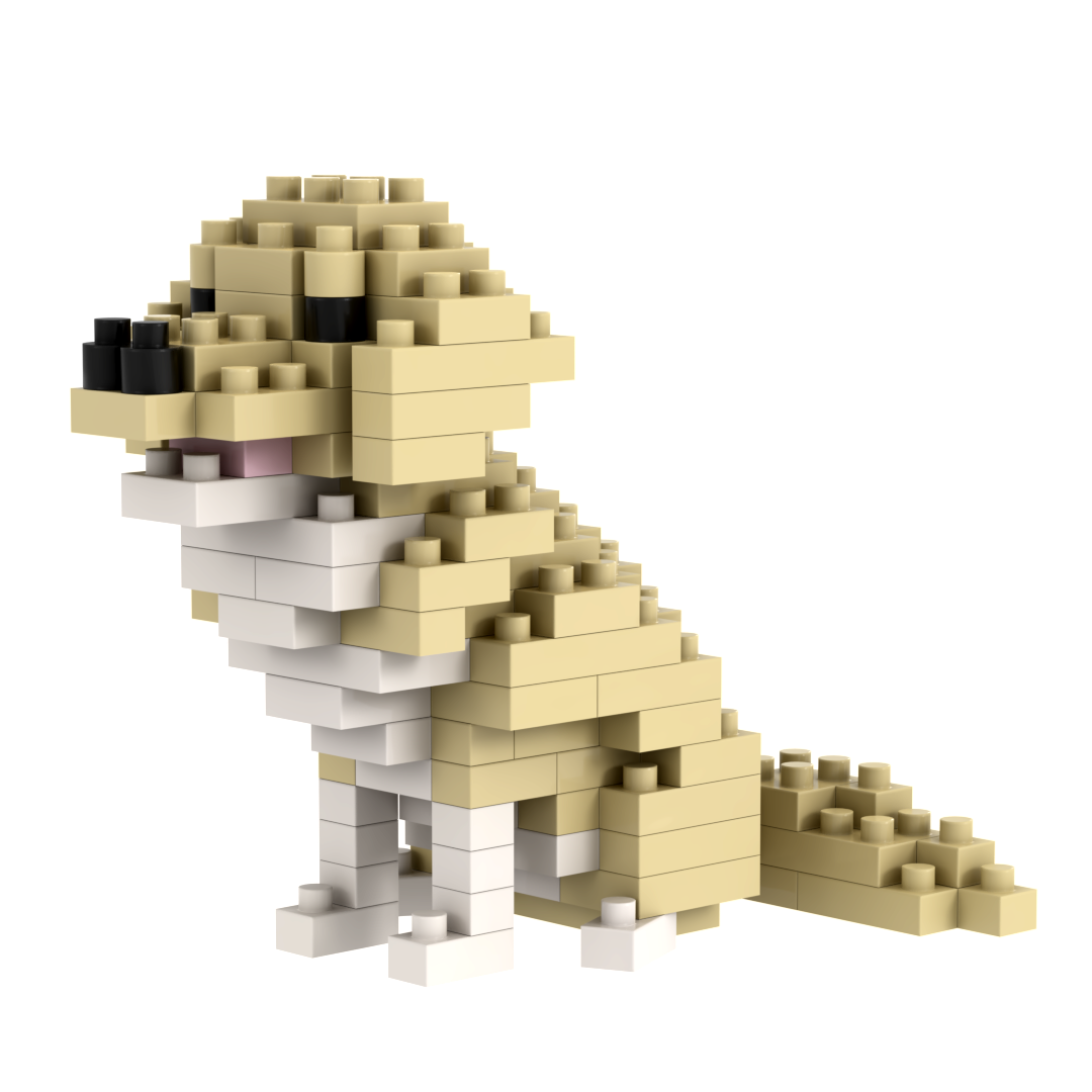 Labrador