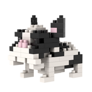 BRIXIES French Bulldog
