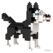 BRIXIES Husky