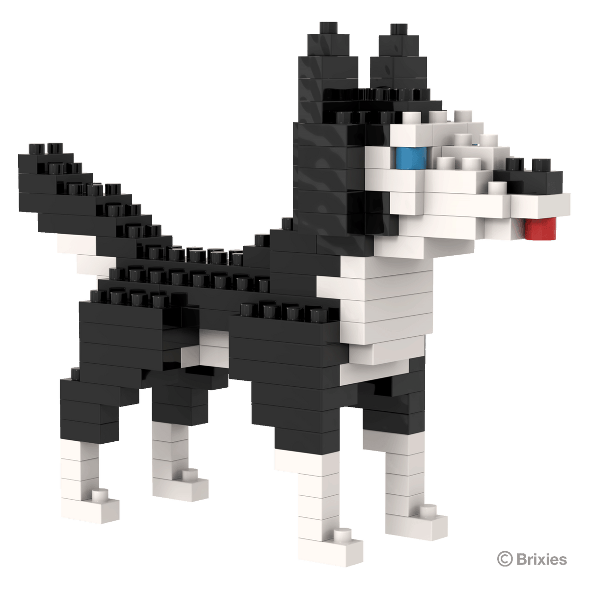 BRIXIES Husky