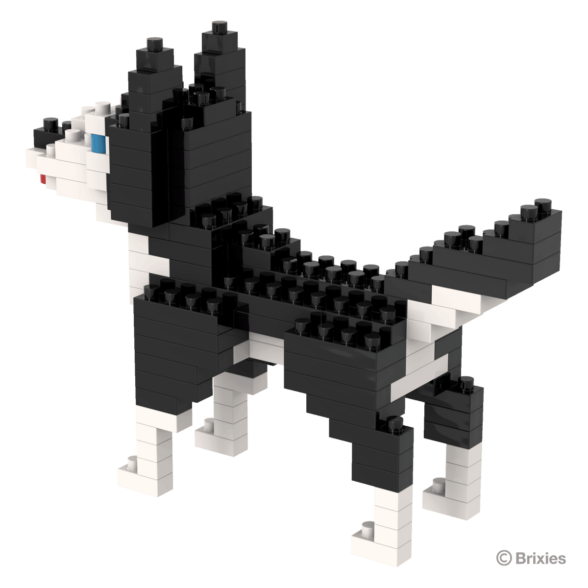 BRIXIES Husky