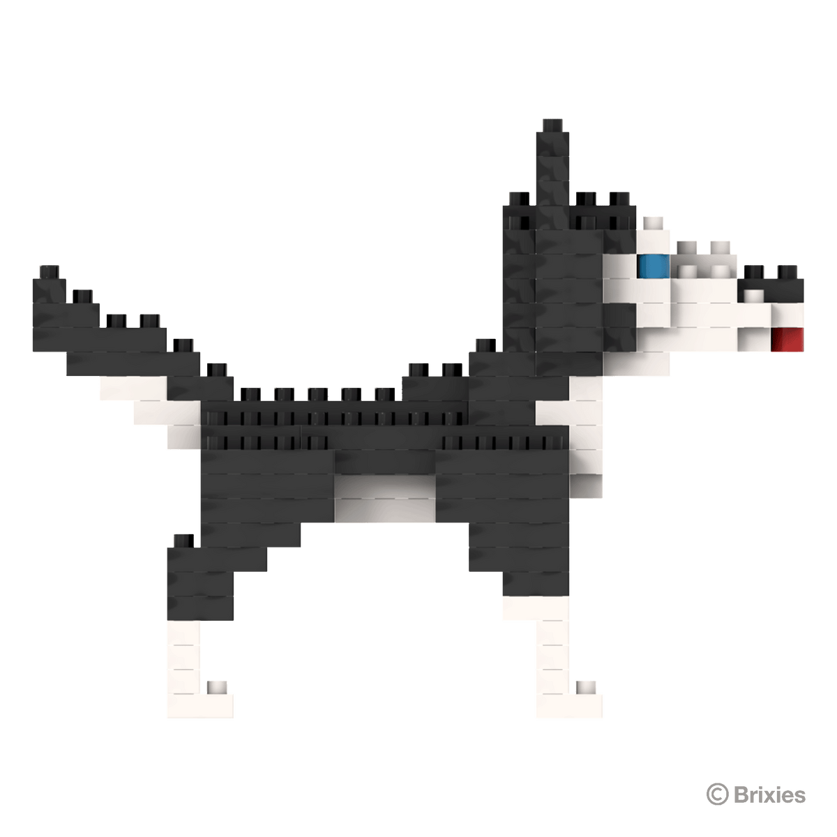 BRIXIES Husky