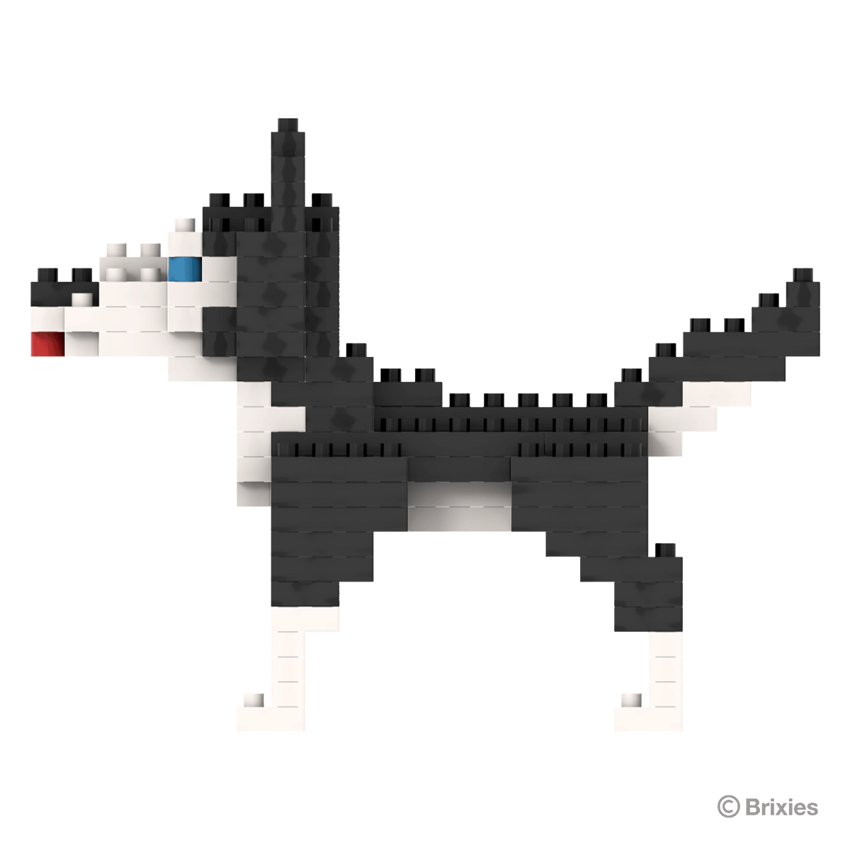 BRIXIES Husky