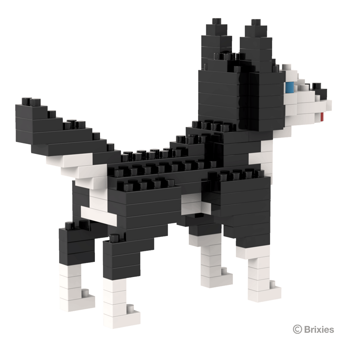 BRIXIES Husky
