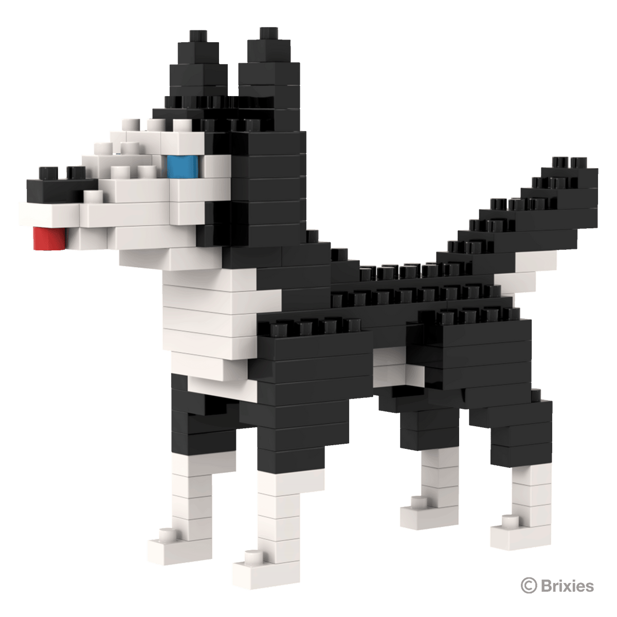 BRIXIES Husky