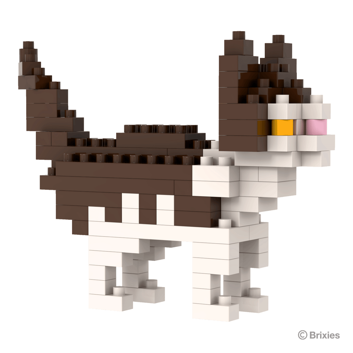 Hauskatze
