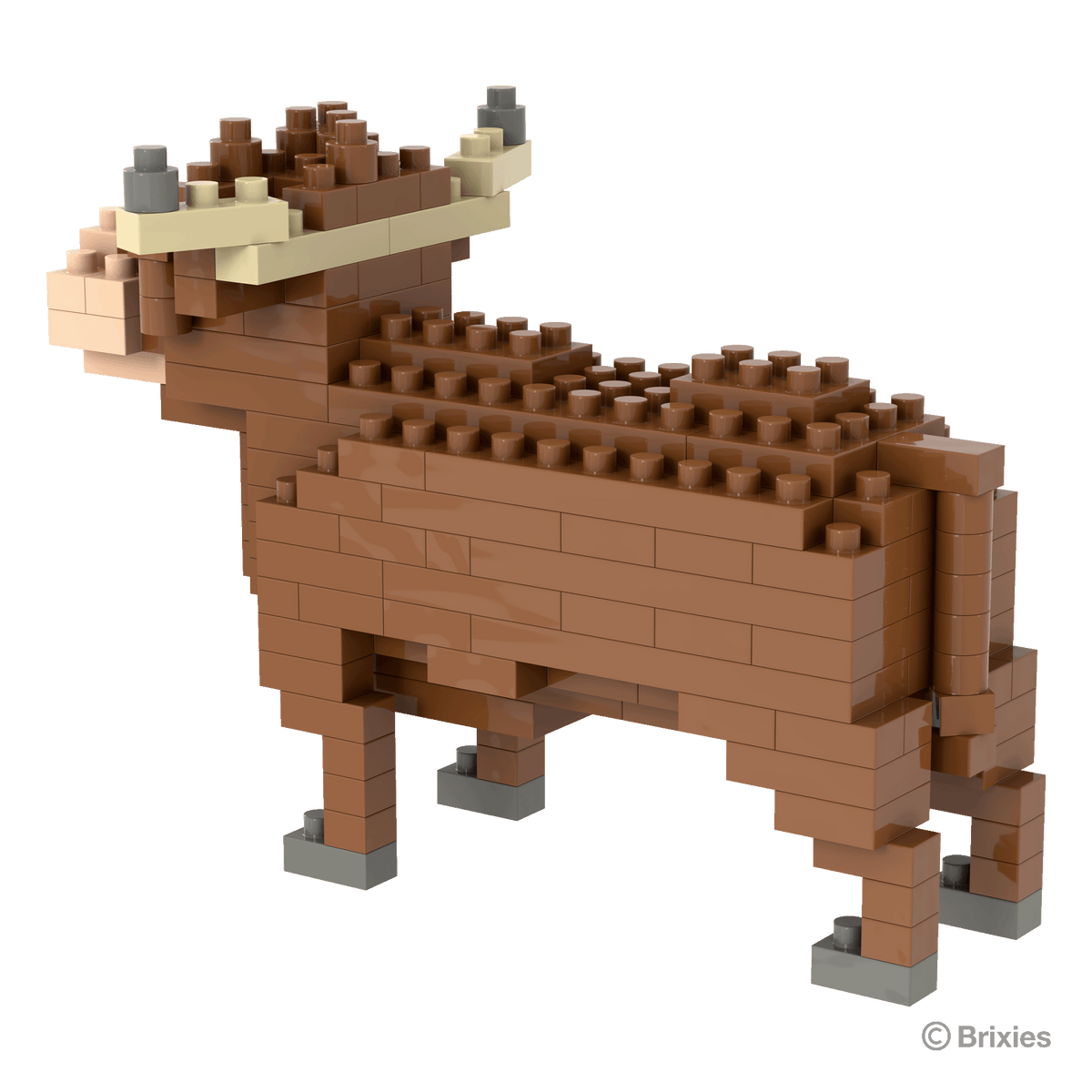 Brixies Highland Cow