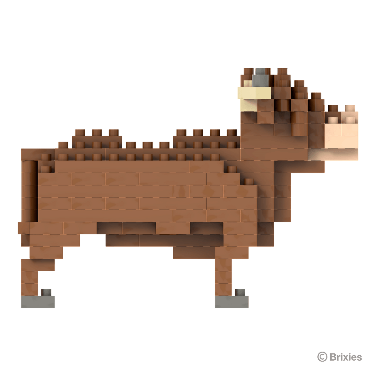 Brixies Highland Cow