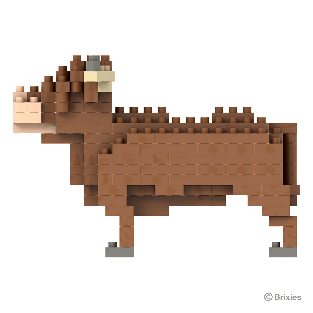 Brixies Highland Cow