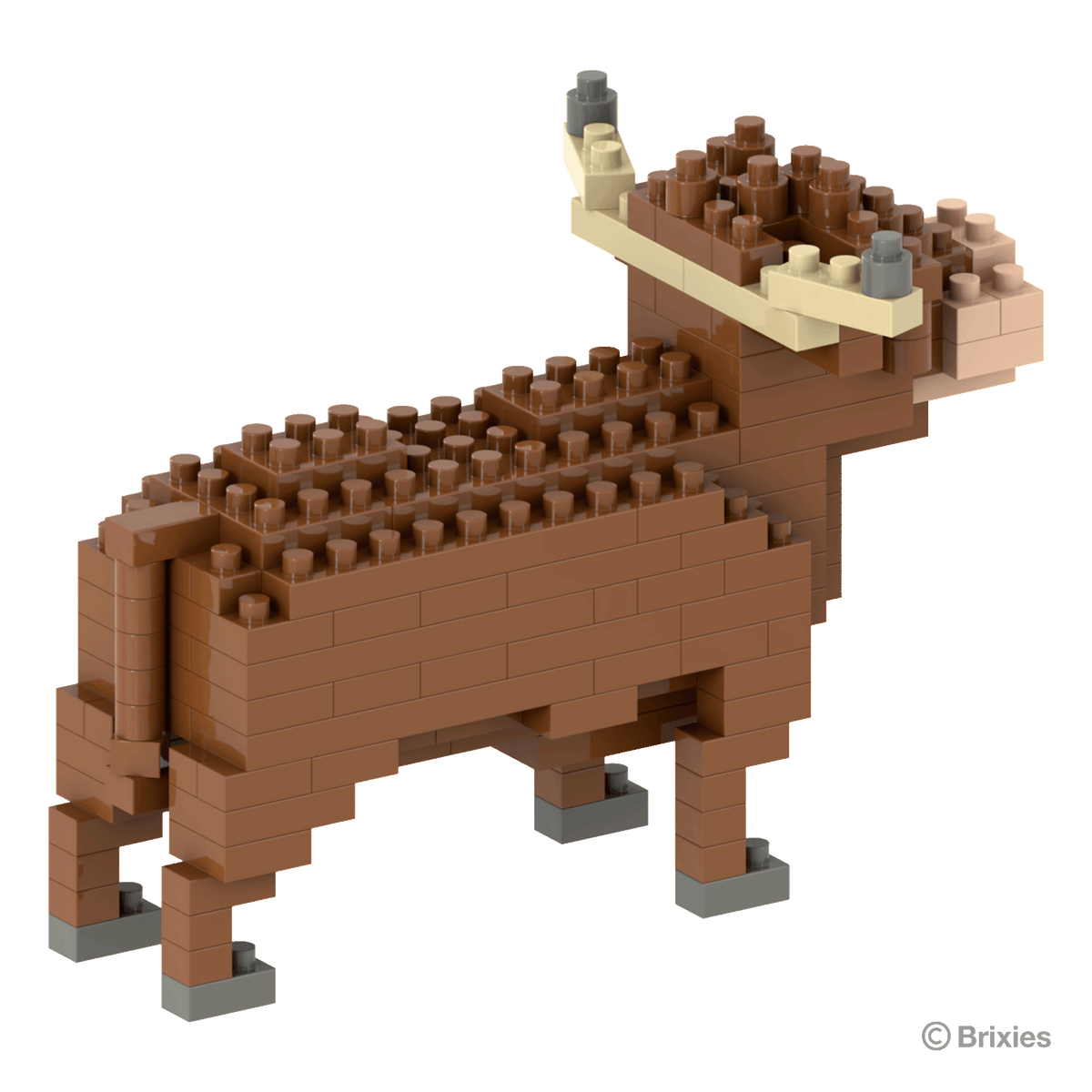 Brixies Highland Cow