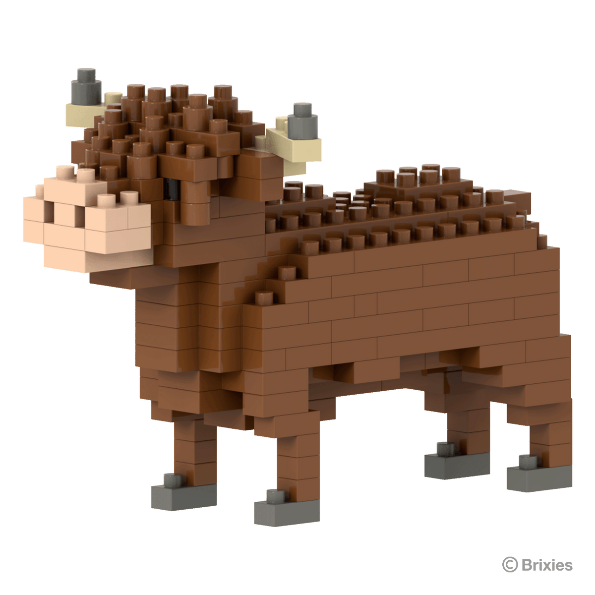Brixies Highland Cow