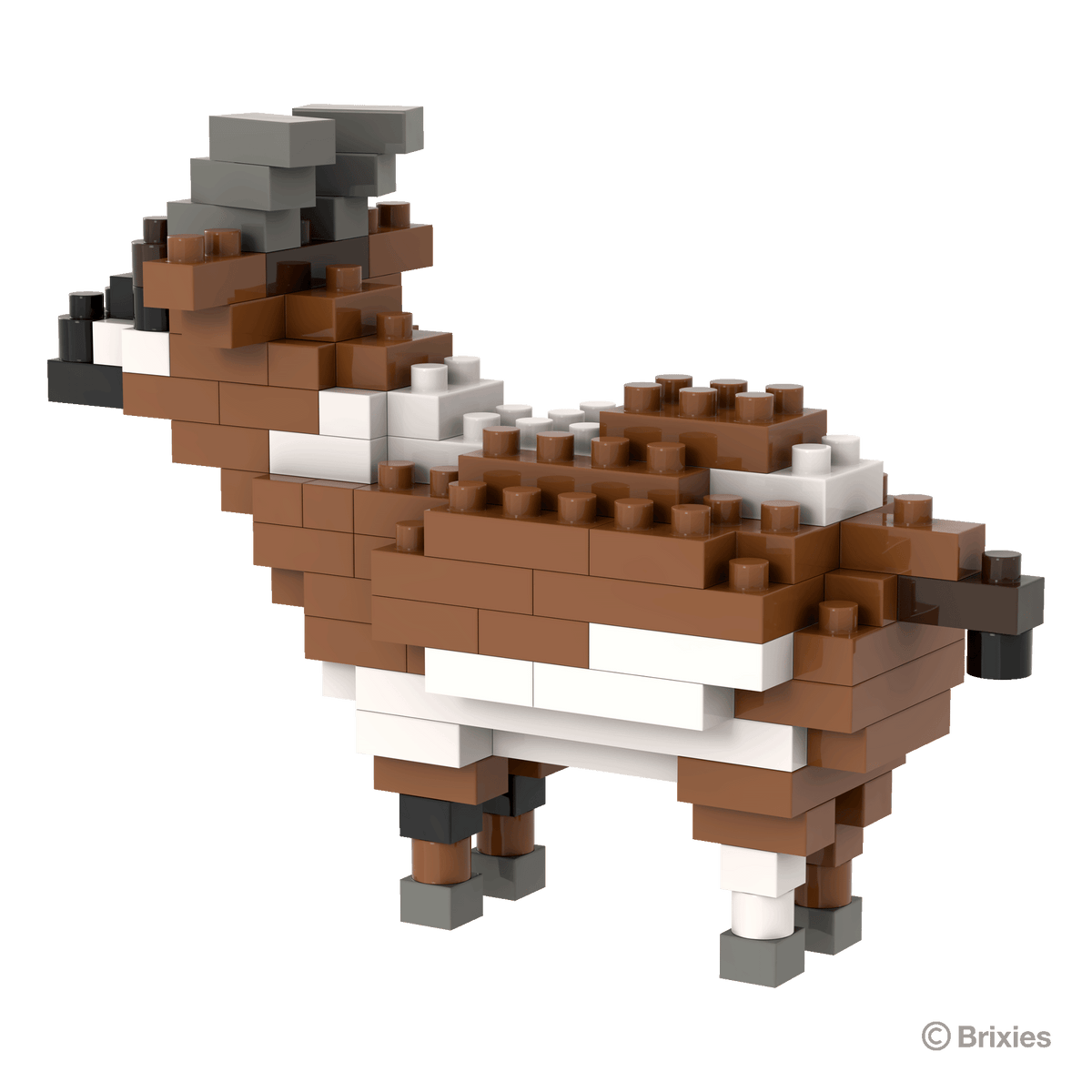 Brixies Goat
