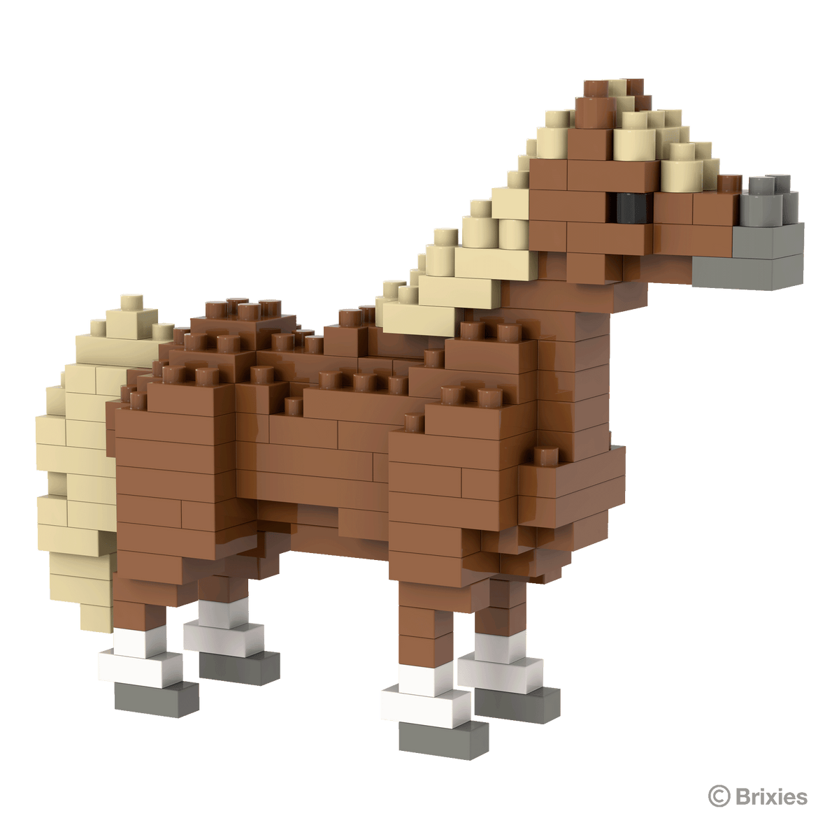 Pony / Pony