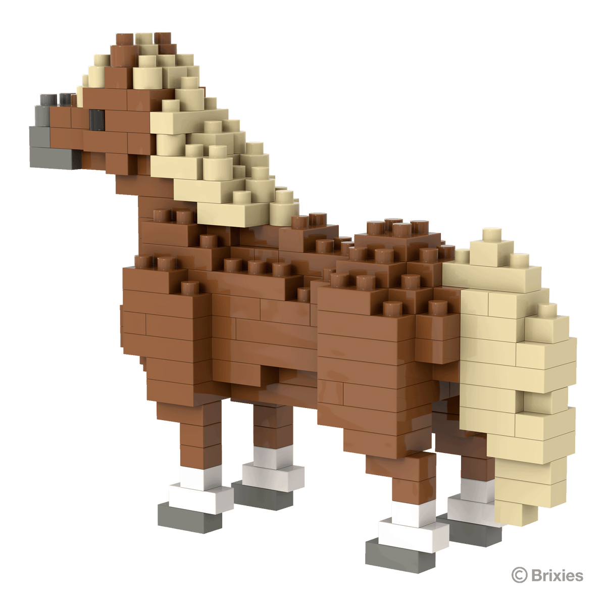 Pony / Pony