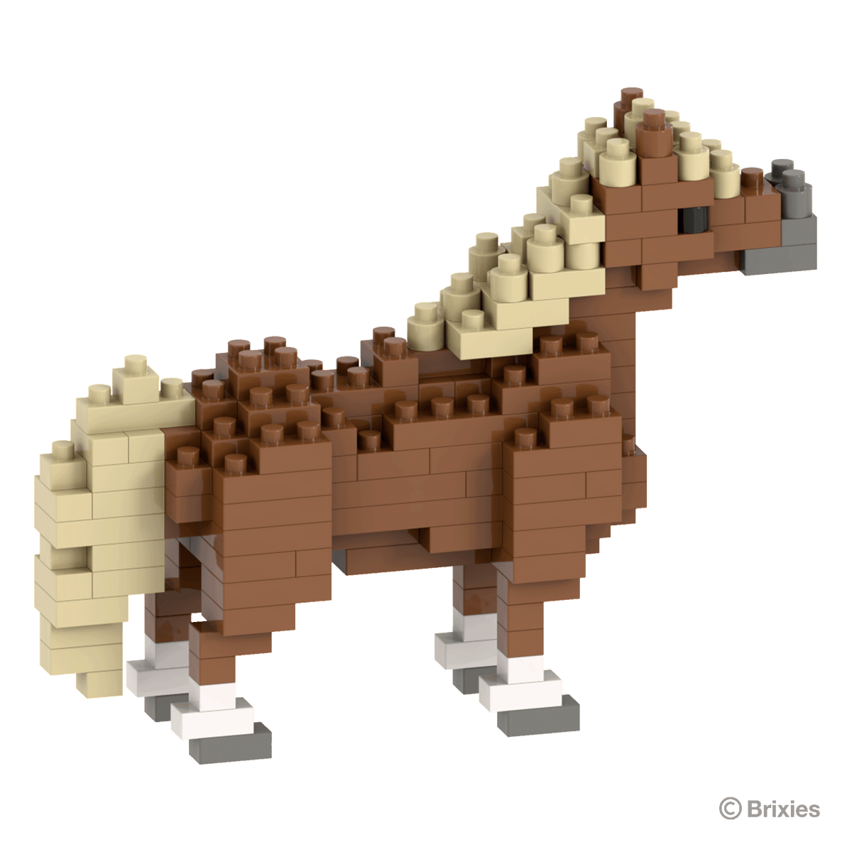 Pony / Pony