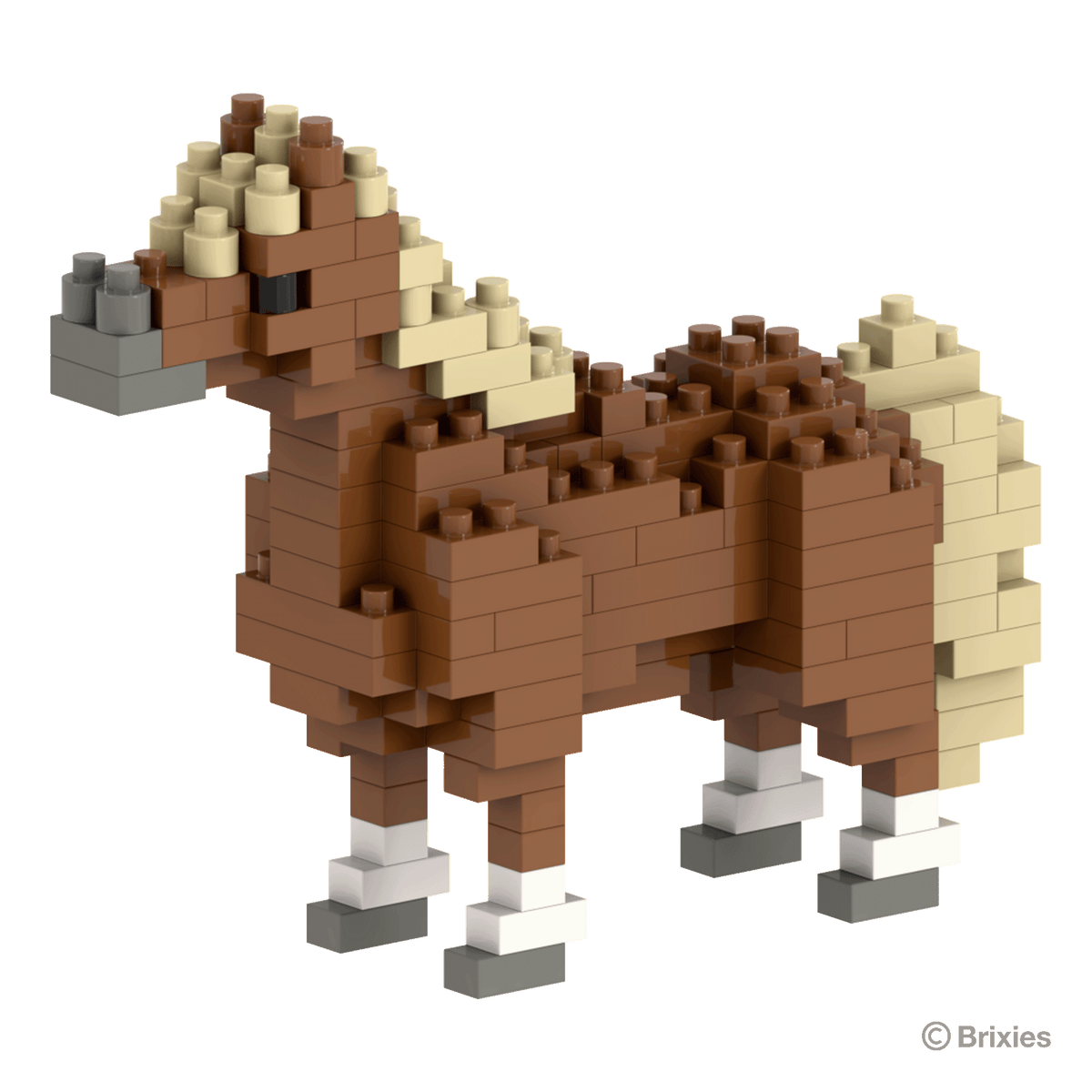 Pony / Pony