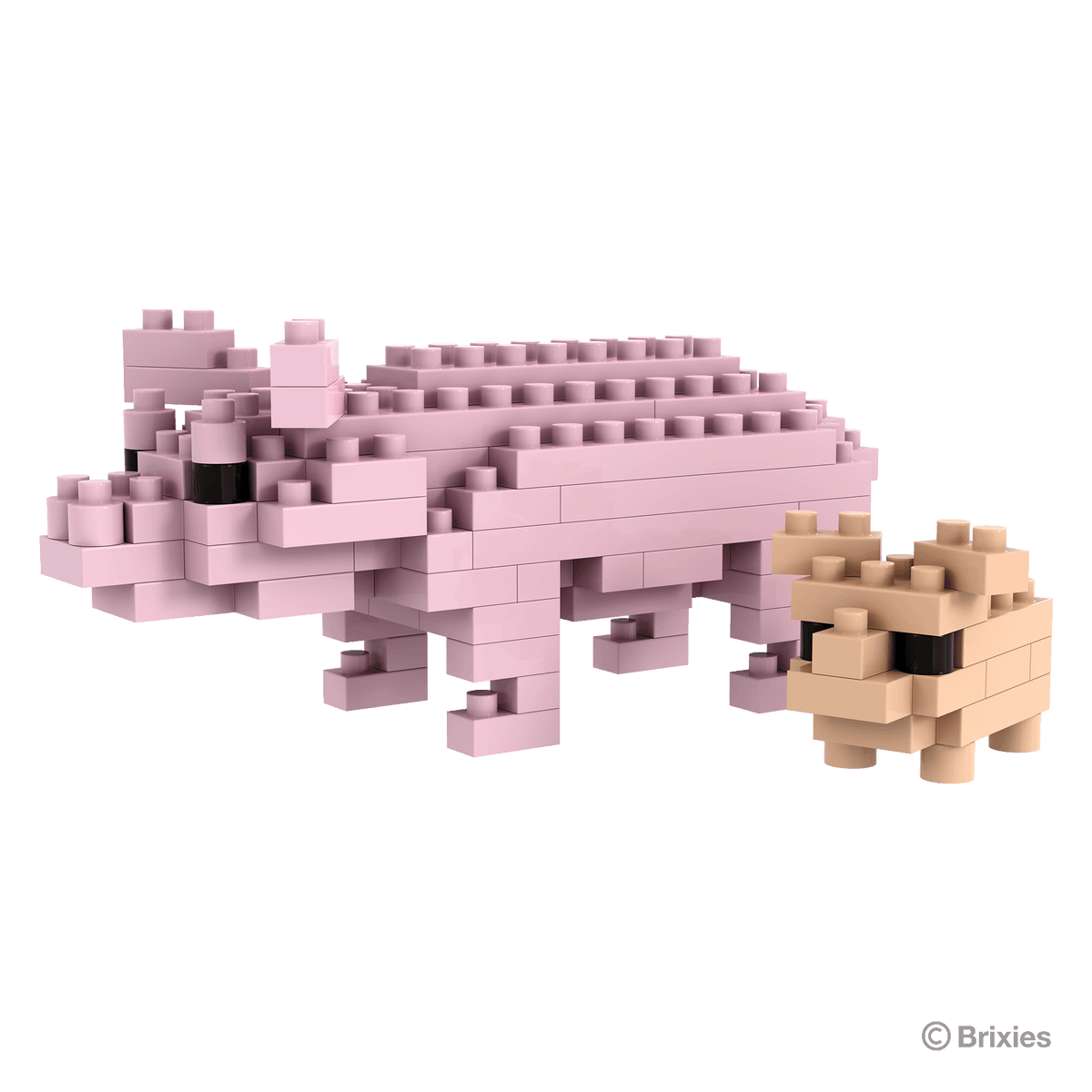 BRIXIES pigs