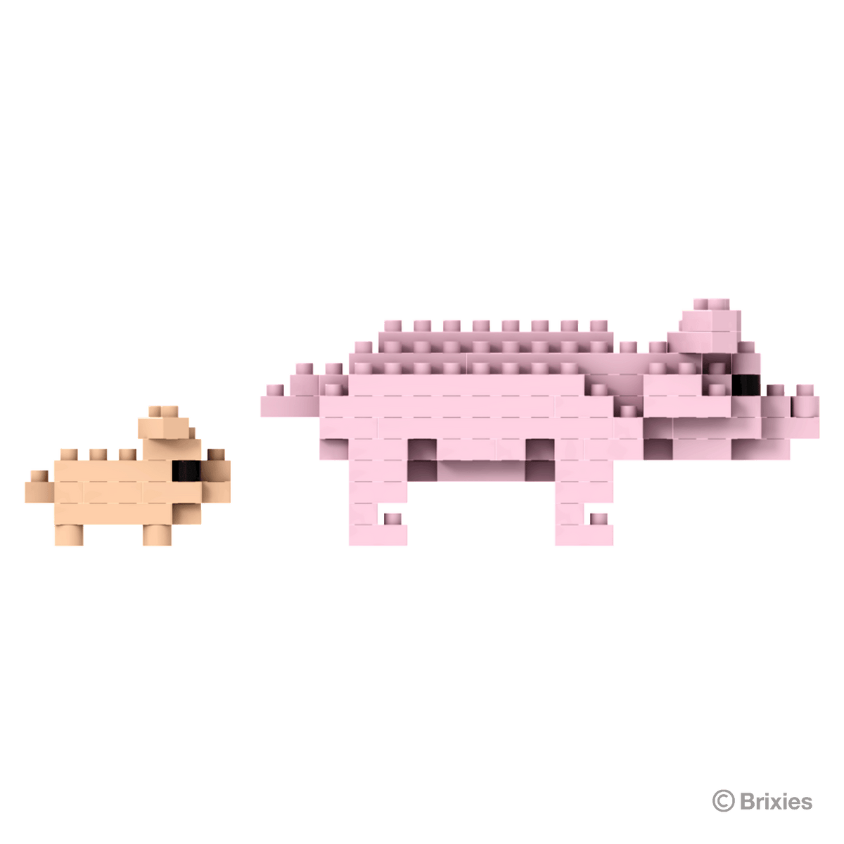 BRIXIES pigs
