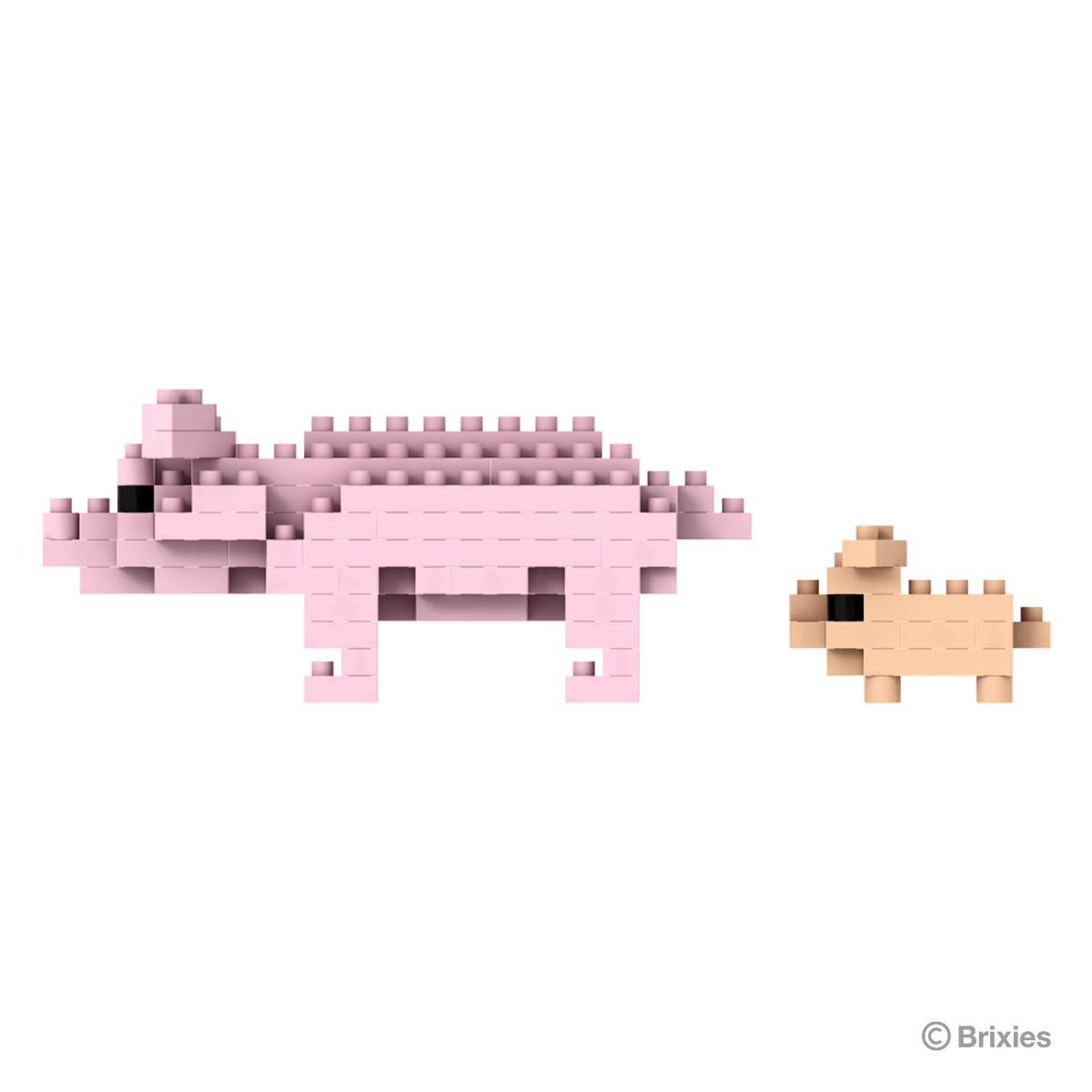 BRIXIES pigs
