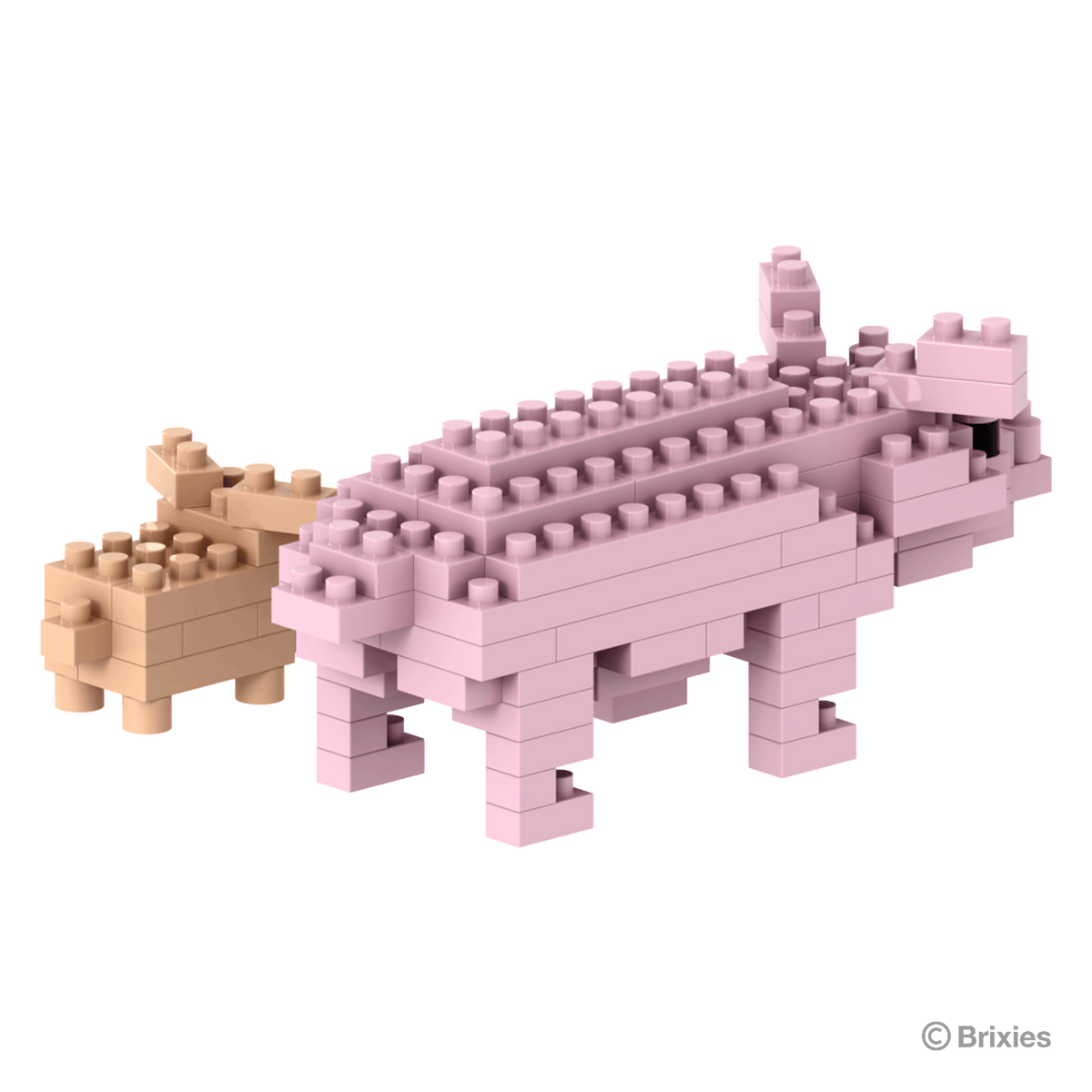 BRIXIES pigs