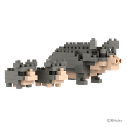 BRIXIES Pot-bellied pig