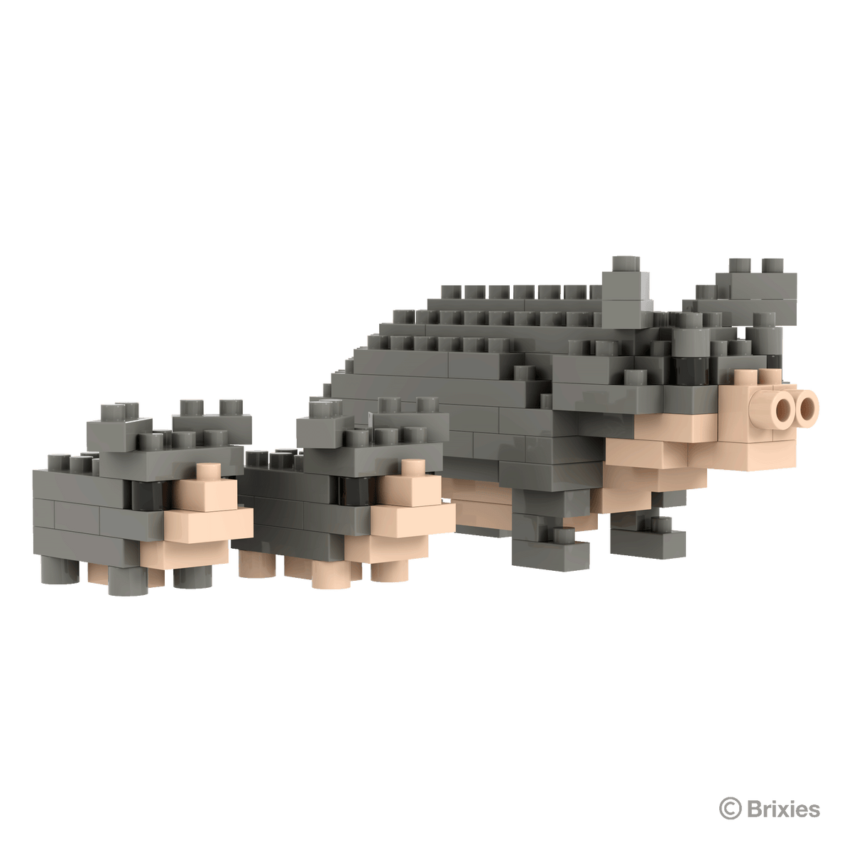 BRIXIES Pot-bellied pig
