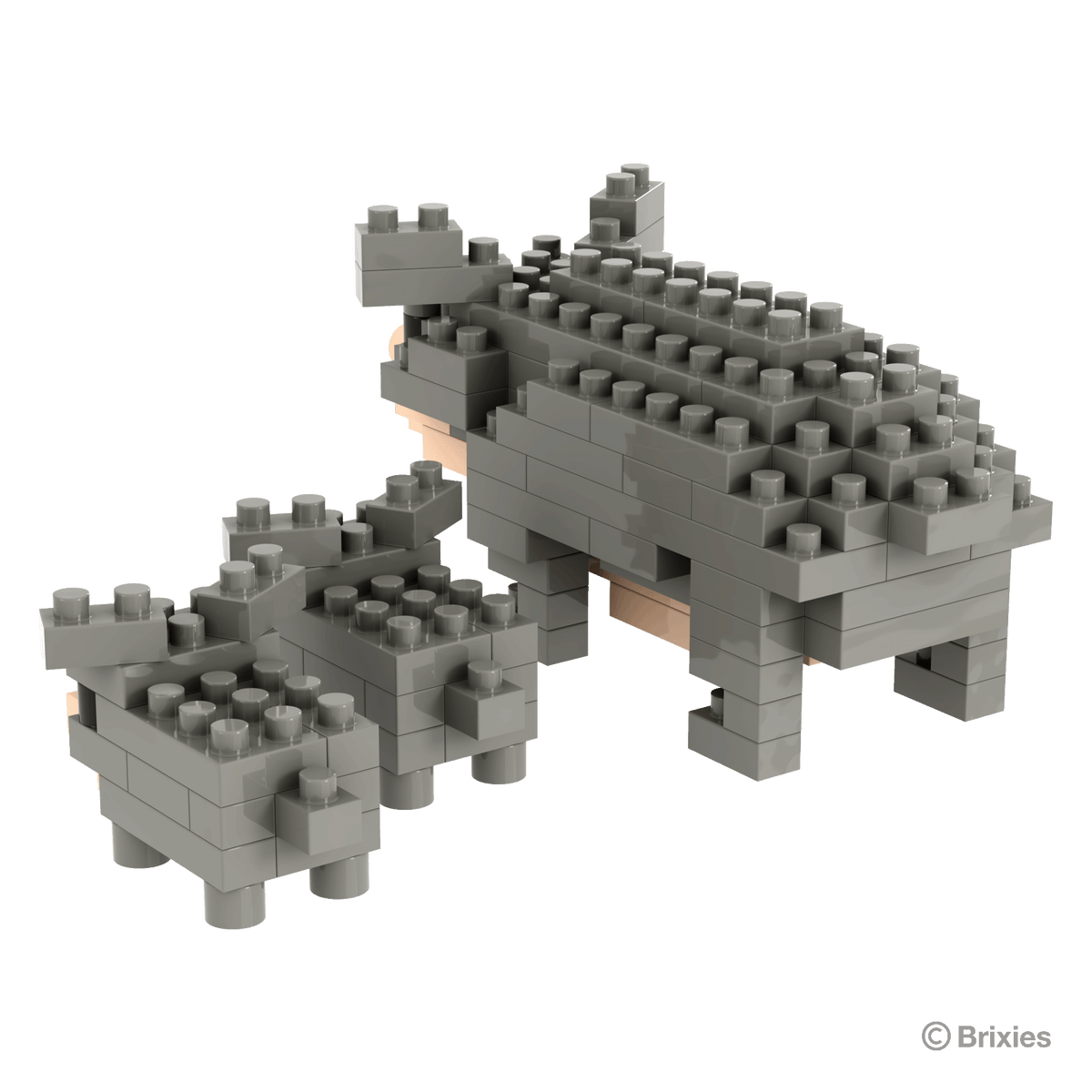 BRIXIES Pot-bellied pig