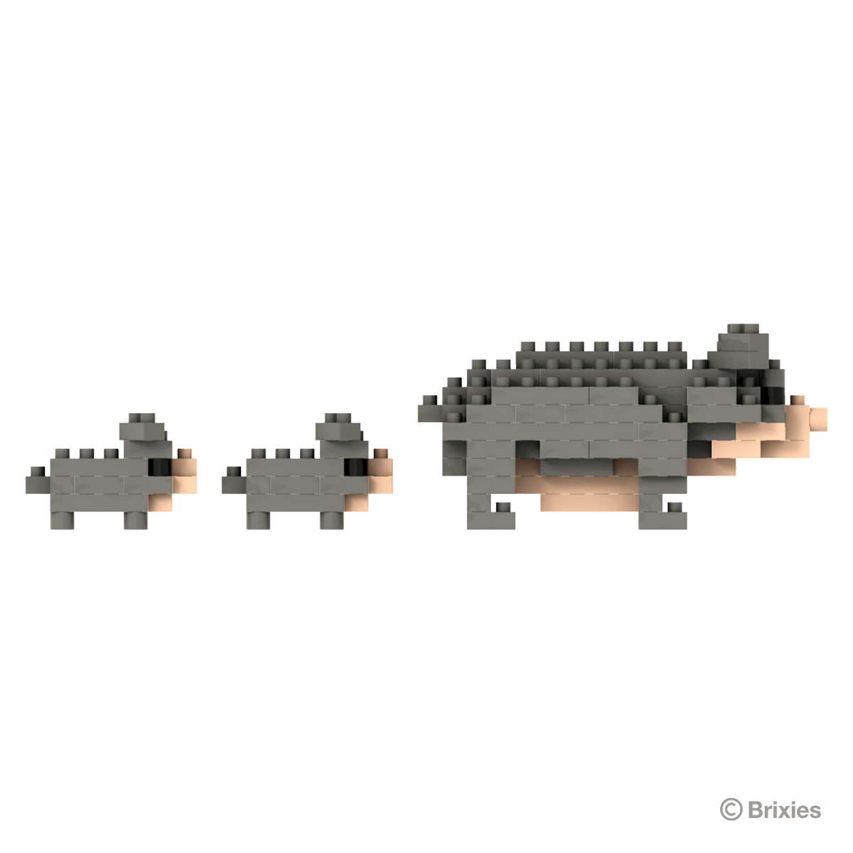 BRIXIES Pot-bellied pig