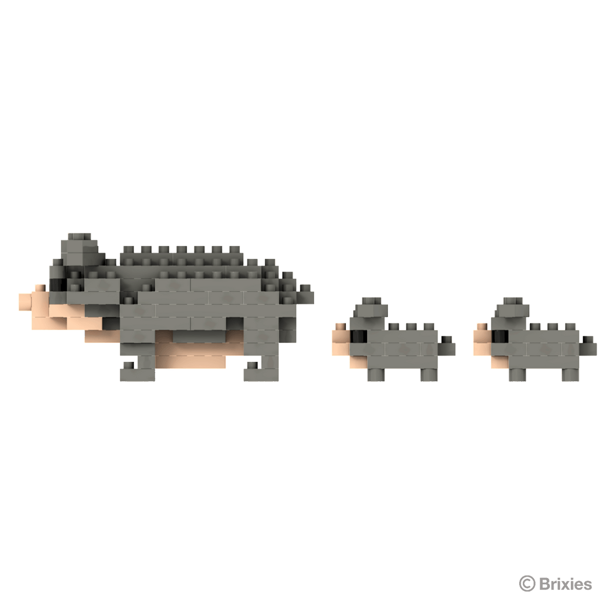 BRIXIES Pot-bellied pig