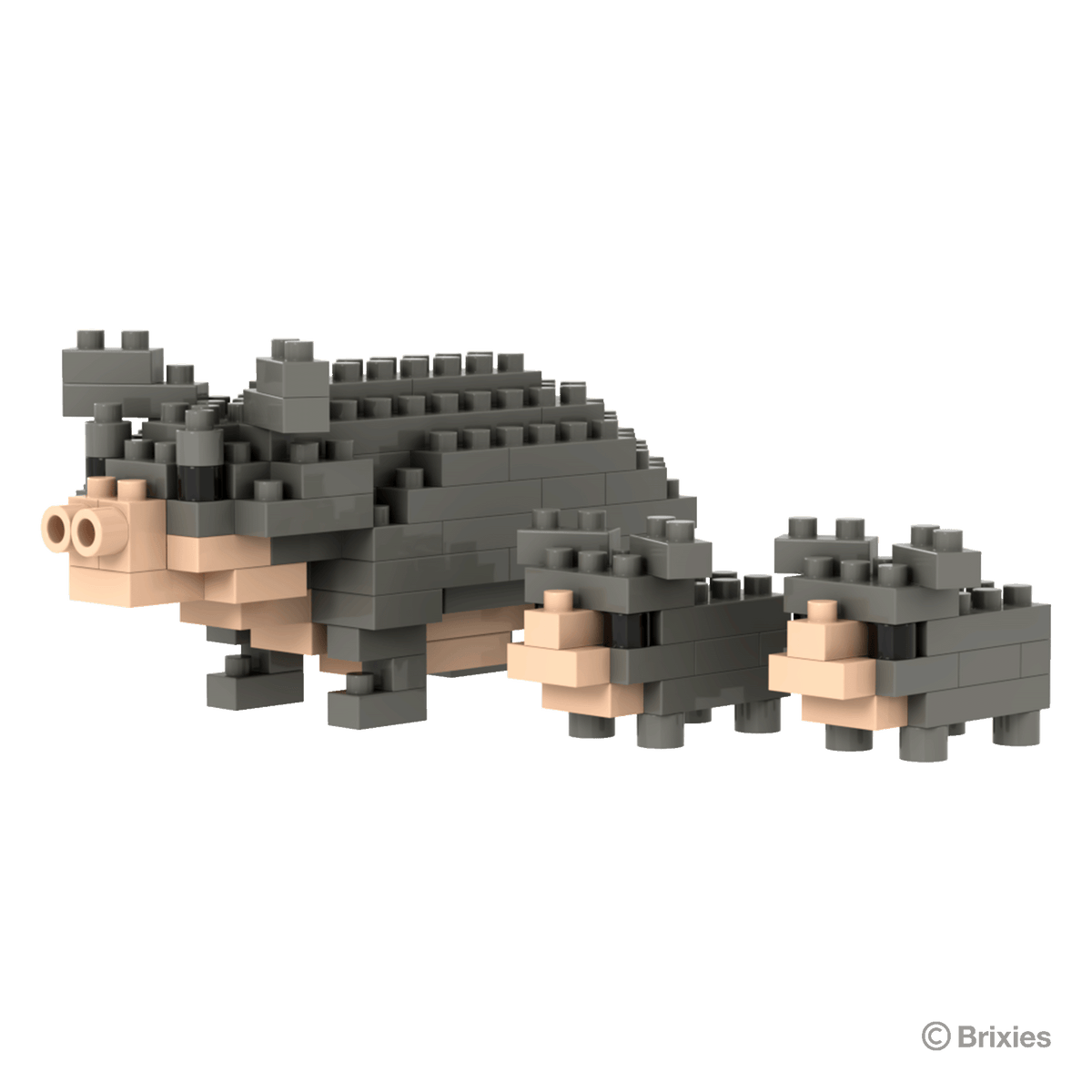 BRIXIES Pot-bellied pig
