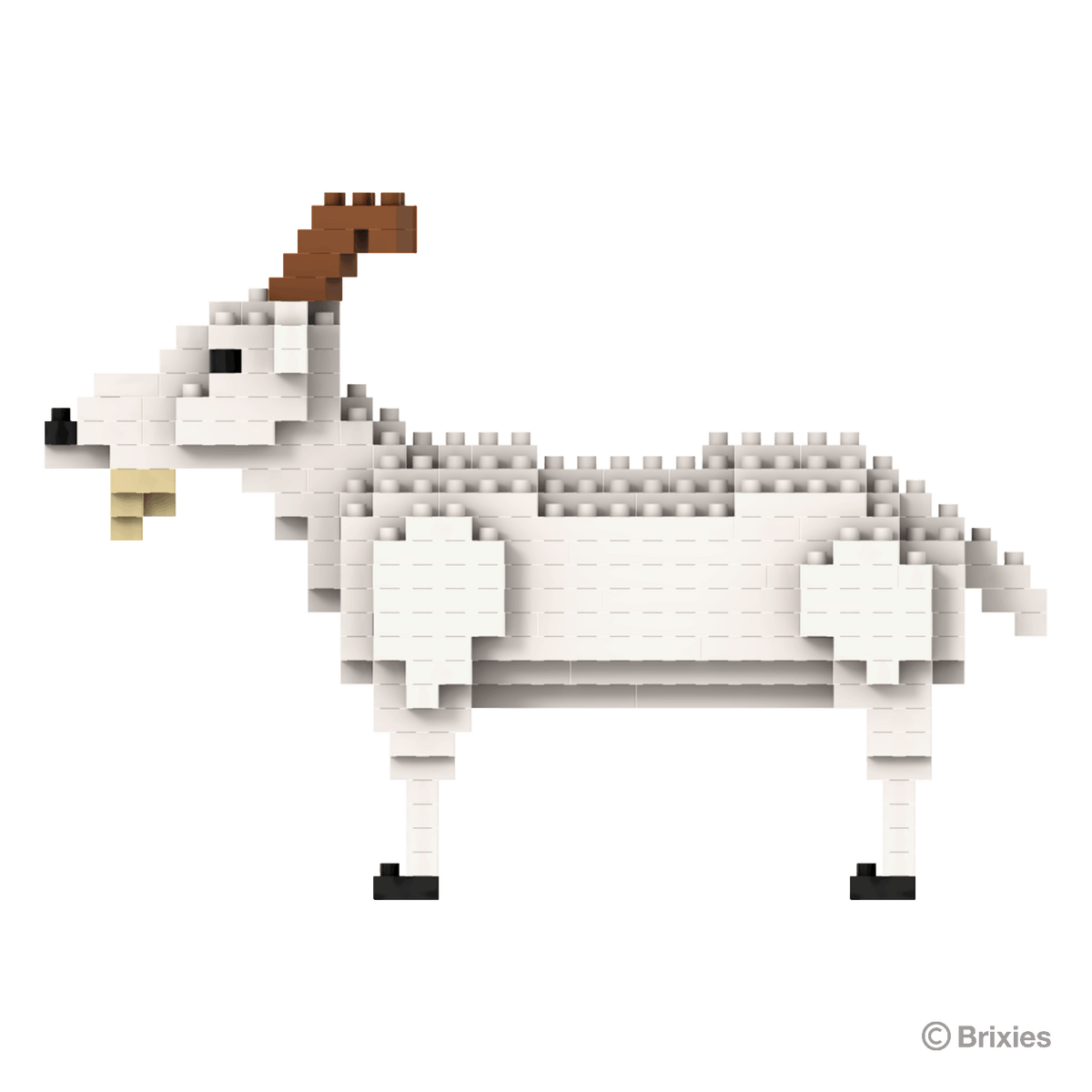 Ziegenbock / billy goat