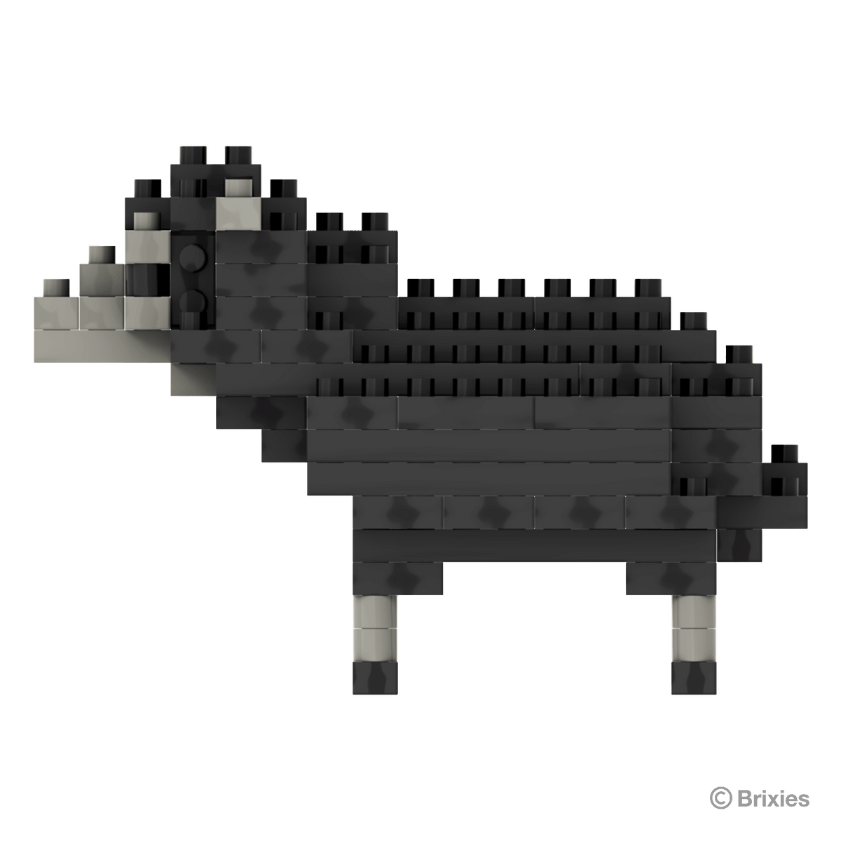 schwarzes Schaf / black sheep