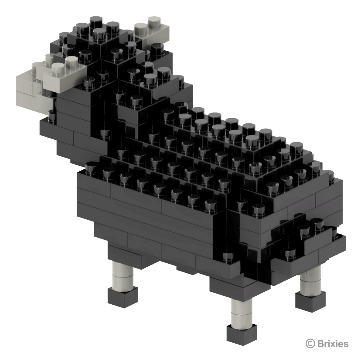 schwarzes Schaf / black sheep