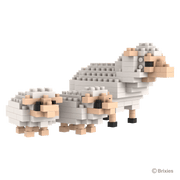 BRIXIES Sheep and Lambs