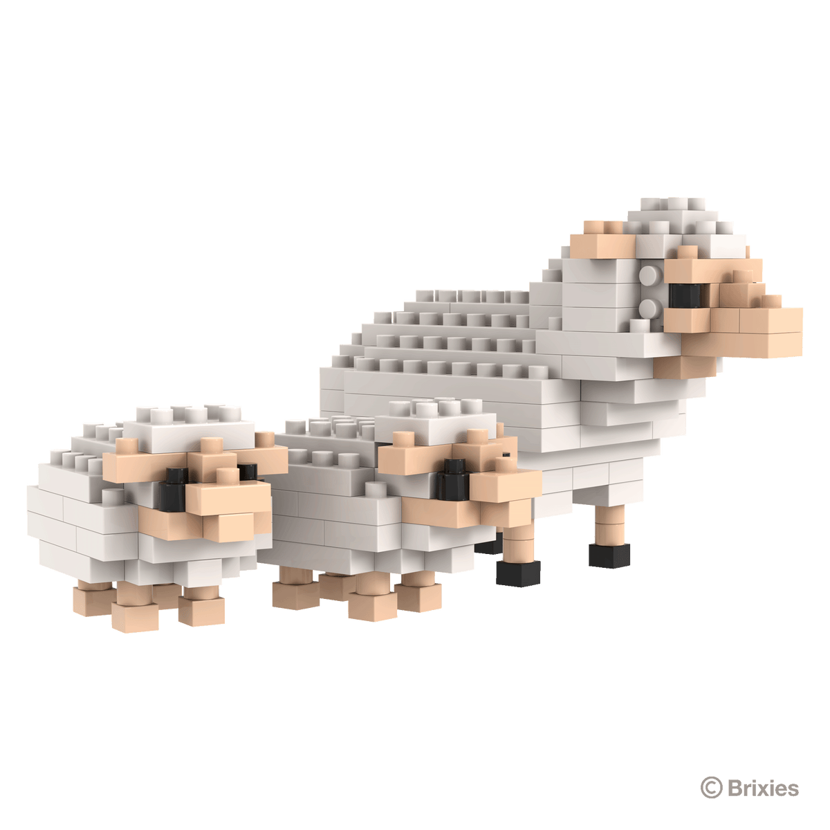 BRIXIES Sheep and Lambs