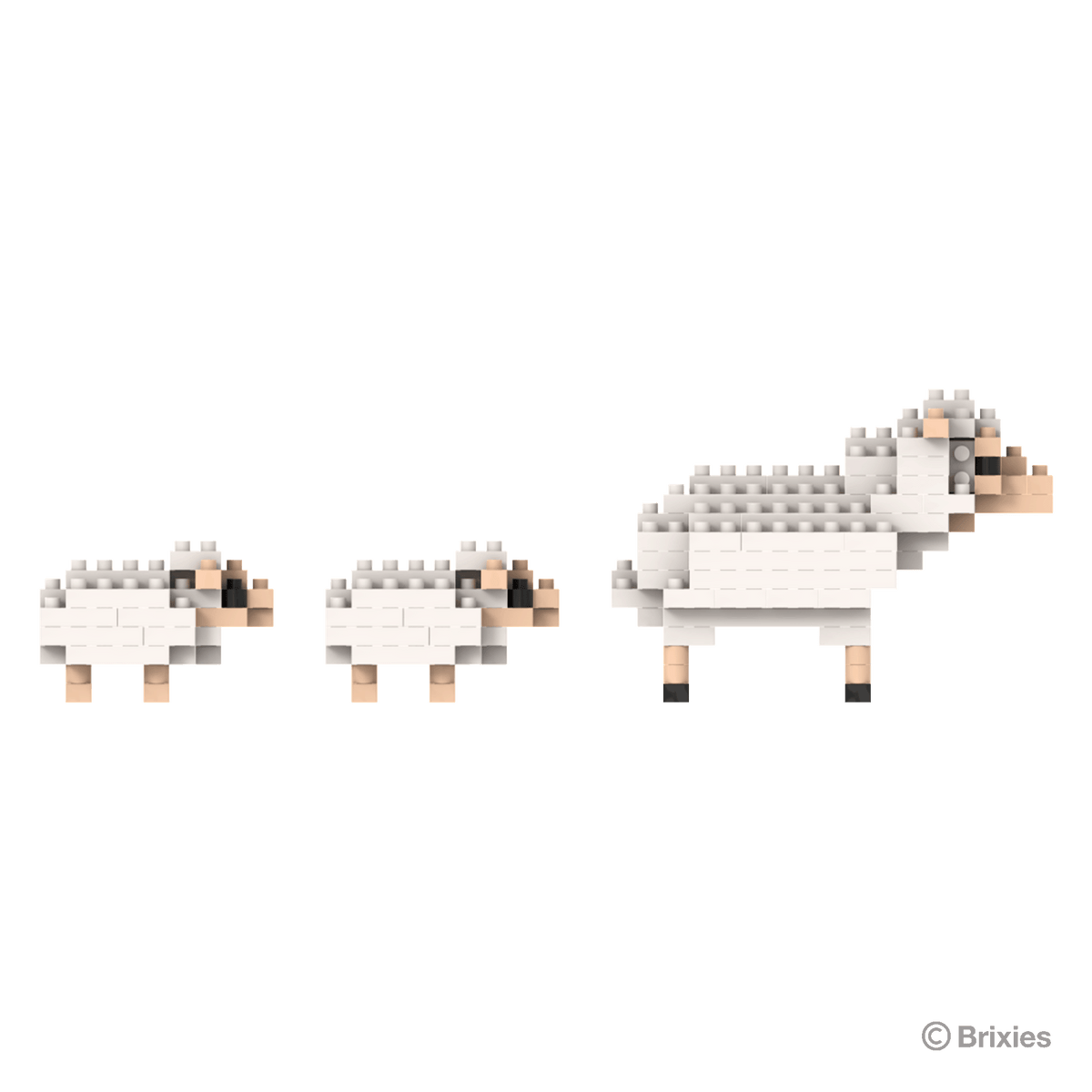 BRIXIES Sheep and Lambs