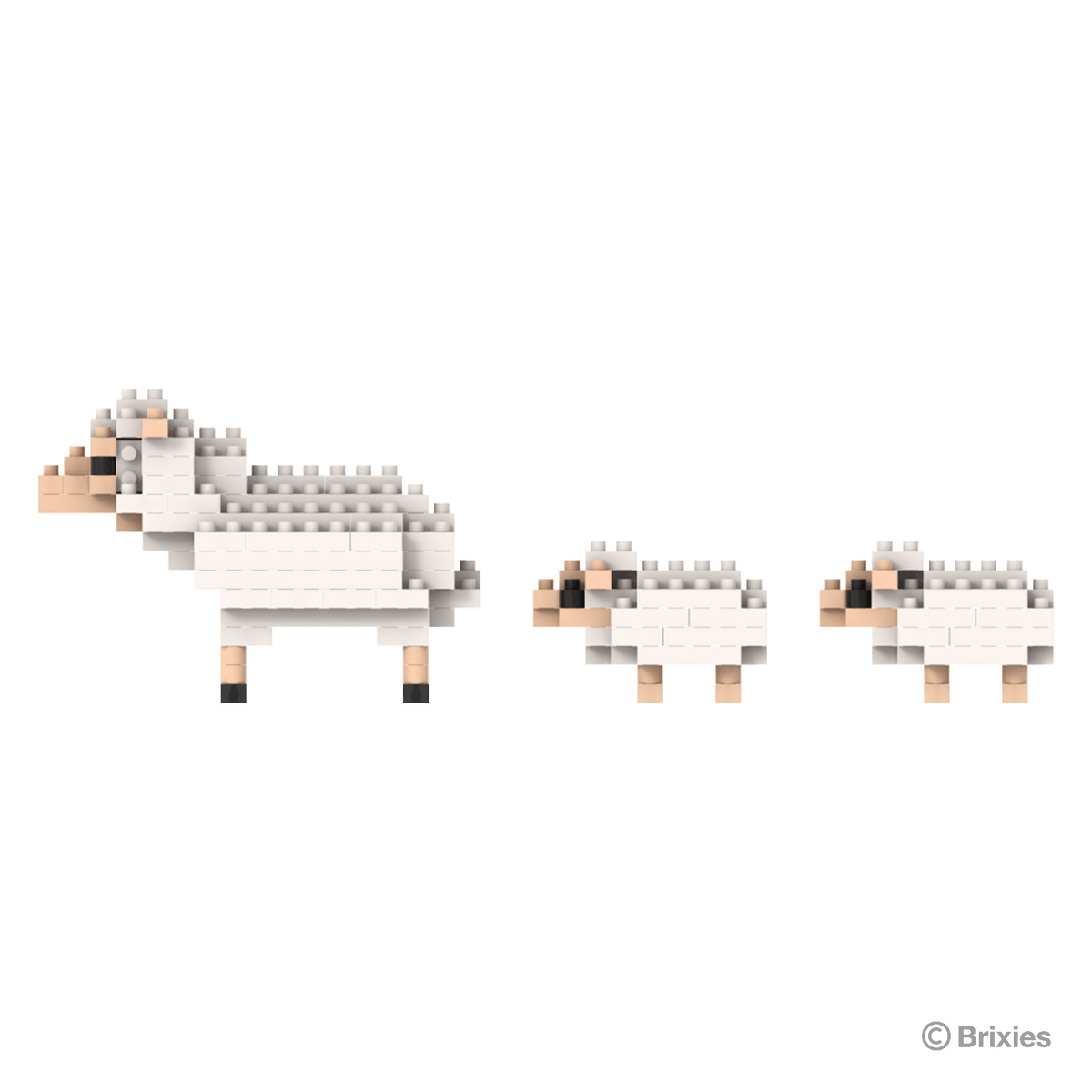 BRIXIES Sheep and Lambs
