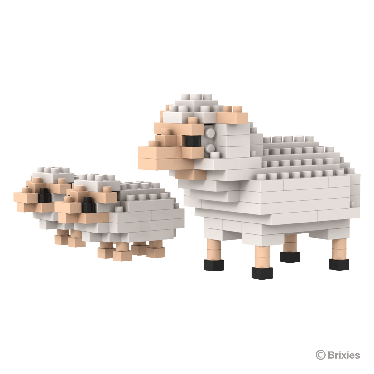 BRIXIES Sheep and Lambs